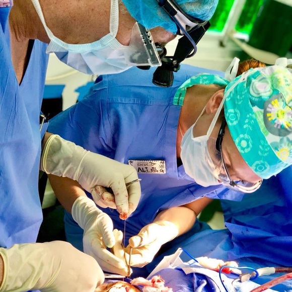 Meet your Posher, Ali - Picture 4 of 10